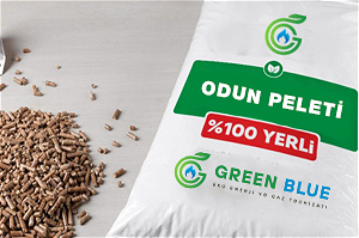 Greening the industry: Azerbaijani pellets producer “Green Blue” LLC benefits from taking part in the EU4Environment company assessment
